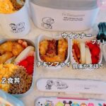 Airi Taira Instagram - お弁当生活😌 あっという間に1ヶ月が経っていた‼︎💦 早いッ‼︎ だけど献立… 毎日考え買い出しに行くということに慣れず、私のカラダは悲鳴をあげている😅タラーン) 一体いつ頃から慣れるのでしょうか？🥲 とにかく毎日必死だけど、帰宅してリュックからお弁当出してくれてお弁当箱の蓋を開けて見せてくれるバンビーノの顔は「全部食べたよ」とドヤ顔😂 (なぜあなたがドヤ顔やねん🤣) 入れたものはちゃんと食べて来てくれて「ママ!朝から作ってくれてありがとう」と必ず言ってくれる😍 作る時の覚悟したもののまだまだ長いね🤪 やるっきゃないよ私(母親)💪❤️ お弁当生活されてる方❣️ 共に頑張りましょ🥹🤝 #お弁当記録#毎日続けるってヒョエだね#でもやるしかないね#ママの試練#愛する我が子のために#ありがとうが魔法の言葉#だんだん楽しめますように#しかし#簡単だと思ったサンドイッチ#意外に時間かかりすぎた#献立ほんとに困る#毎日一緒にしてみよかな#グッワハハハハハ