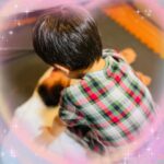 Airi Taira Instagram - すっかり治った男児達♡ 連日眠れずに授乳しながらの子供達のトイレ合戦はさすがにキツく心折れそうになったけど「私がやるしかない‼︎」を胸にナントカなった🤩 これを機にもしまた何かあったら一気にひとりで4人のことはやれる‼︎とプチ自信がついた😁ピース) 写真は上3人の寝る前の歯磨き中での出来事。 順番に1人目の歯磨きが終え2人目、3人目と歯磨きをしているとギャンギャン泣き出した赤ちゃん🥲 泣き声も日に日に大きくなってきてる今日この頃😇 泣き声が気になりながらべべの歯磨きを急ぐ💦 いそいで急いでイソイデようやく戻るとバンビーノがおしゃぶりをお口に入れてくれて優しくトントンしながら歌ってくれてた😭涙) こっちが泣きそうになったよ🥹‼︎ すっかり泣き止んでる赤ちゃん👶 お兄ちゃん居てくれてよかったね🥹ウルウル) #バンビーノ#色々気づいて手助けしてくれる#有り難い#5歳#すごい#早くみんな#5歳になぁれ#なんつって#心配して連絡くださった方#ありがとうございました#すっかり#みんな#元気です