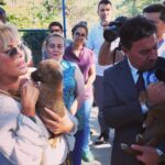 Ajda Pekkan Instagram - Bodrum Belediye Başkanımız Sevgili Ahmet Aras Beyefendi nezdinde tüm belediye çalışanlarını ve desteklerini esirgemeyen hayvansever dostlarımızı gönülden tebrik ediyorum, sokak hayvanları için yaptıkları ve yapacakları çalışmalar tüm Belediyelerimize örnek teşkil edecek nitelikte, ben de bu projelerin hem destekçisi hem takipçisi olacağım ☺️ Lütfen sizler de yardımlarınızı esirgemeyin 🙏🏻 Unutmayalım ki bir ülkenin medeniyet seviyesi sadece ekonomik gelişimiyle değil, kadına , çoçuğa , doğaya , hayvanlara verdiği değerle ölçülür… Sevgiyle kalın 💙 #sokakhayvanlarısahipsizdeğil #