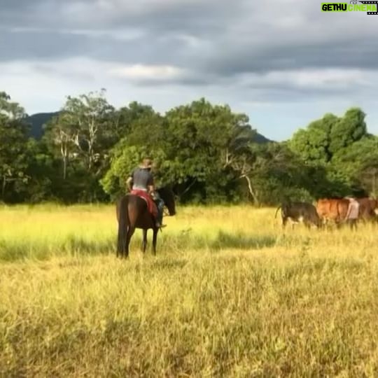 Alanis Guillen Instagram - Reverberando a alegria de ver Pantanal indicado ao @iemmys desse ano como melhor novela! Ver essa obra tão viva e transbordando é lindo demais! Cada momento desse, viver esse Pantanal, no quente e no frio, no molhado e no seco, com as aguas, com os bichos, se descobrindo bicho, o encontro com o outro, consigo, revirada, tudo que se criou, recriou, se descobriu e se abriu. Foi muito e ainda é. Um viva a todos os parceiros que construíram essa historia e todos vocês que viveram ela com a gente!!!! “E é!”, como diria Juma quando é atravessada por algo que ultrapassa a linguagem e fica.