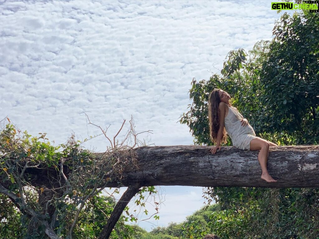 Alanis Guillen Instagram - Reverberando a alegria de ver Pantanal indicado ao @iemmys desse ano como melhor novela! Ver essa obra tão viva e transbordando é lindo demais! Cada momento desse, viver esse Pantanal, no quente e no frio, no molhado e no seco, com as aguas, com os bichos, se descobrindo bicho, o encontro com o outro, consigo, revirada, tudo que se criou, recriou, se descobriu e se abriu. Foi muito e ainda é. Um viva a todos os parceiros que construíram essa historia e todos vocês que viveram ela com a gente!!!! “E é!”, como diria Juma quando é atravessada por algo que ultrapassa a linguagem e fica.