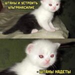 Aleksandra Bortich Instagram - осенний рандом. в конце мем.