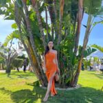 Alessia Macari Instagram - Jungle vibes in the Algarve 🇵🇹 #wedding #algarve #portugal