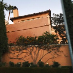 Alex Lange Instagram - city of angels 💫