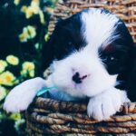 Alex Lange Instagram - this is whiskey