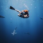 Alex Lange Instagram - meet my shark friends 👋🏼