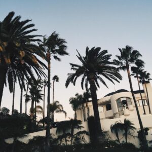 Alex Lange Instagram - top of the world