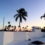 Alex Lange Instagram -