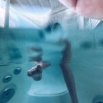 Alexa PenaVega Instagram - Carlos gettin artsy fartsy with these angles 🤣