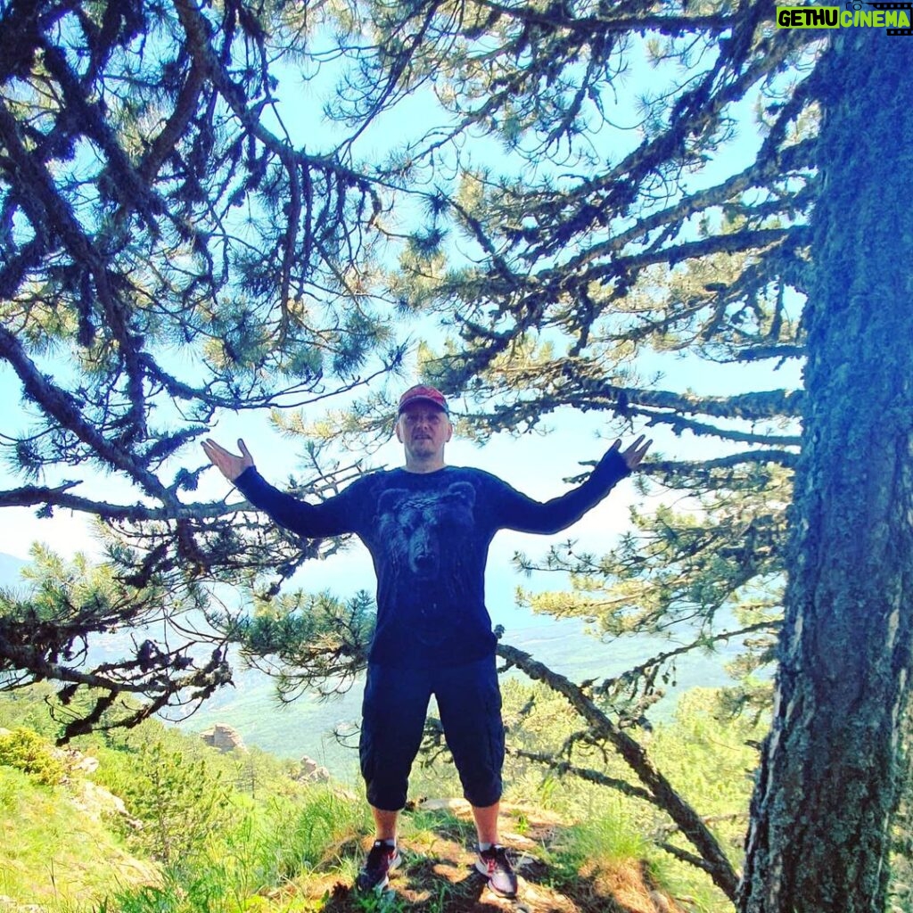 Alexey A. Petrukhin Instagram - ДЕРЕВЯННЫЙ ЧЕЛОВЕК ИЛИ ЖИВОЕ ДЕРЕВО? #Деревья появились на Земле раньше человека, но их, почему-то, не принято воспринимать как #живыесущества... 🤔 А вот один лесничий рассказывает, как он заметил, что деревья общаются между собой, передают информацию с помощью запаха, вкуса и электрических импульсов, и как он сам научился распознавать их беззвучный язык 🤷‍♂️ Вот и я рассуждаю, как же #дерево, срубленное десять или столетия назад, могло до сих пор жить? Без листьев дерево не может осуществлять #фотосинтез, то есть не может превращать солнечный свет в питательные вещества... Этот вопрос раскрыли #ученые, которые выяснили, что соседние деревья помогают другим через корневую систему либо напрямую, переплетая #корни, либо косвенно — создают между собой вокруг корней как бы грибницу, которая служит своего рода расширенной нервной системой, соединяя далеко стоящие деревья ✊ Почему деревья — настолько социальные существа? Почему они делятся едой с представителями своего вида, а иногда даже идут дальше, чтобы накормить соперников? 🤔 Причина та же, что и в человеческом сообществе: быть #вместе — это преимущество 👈 Дерево — это ещё не лес. Дерево может быть настолько сильным, насколько силен лес вокруг него, понимаете меня? 🤞 . #мысливслух #мысли #ожизни #олюдях #оприроде #сильный #Таракташ #виды #вид #таракташскаятропа #view #айпетри #ветки #природа #медведь #редкоедерево #рсм #рдш #мывместе #бытьвместе #АлексейПетрухин Таракташская тропа