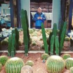 Alexey A. Petrukhin Instagram – #Cactuslook 🤣 Кактус — это глубоко разочарованный в жизни огурец. Так и есть ведь, что посеешь, то и пожнешь… Зря этой пословице мы в жизни так мало придаём значения… ох, как зря… 🤔 
#кактус #пословицы #мысливслух #мораль #cactus #look Luckin Coffee 瑞幸咖啡