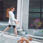 Ali Lee Instagram - 【穿上#SKECHERS GO WALK®️健步鞋系列👟💕將寫意步行化作我的運動日常🚶🏻‍♀️🍃】 我一向喜歡四處走動💨，而集舒適科技、創新設計和專業級性能於一身的GO WALK®️健步鞋系列✨，就最適合擁有好動生活習慣的我了！💪🏻 今季更推出全新色系的Workout Walker、Distance Walker及 Speed Walker，即使在行程緊密中全日行走🚶🏻‍♀️，專為步行以設的SKECHERS GO WALK®️系列👟，仍能令我雙腳舒適，體驗毫不費力的運動時尚！😎 你也快來跟我一起，體驗SKECHERS Workout Walker如何將步行完美地融合我們的日常生活吧！😉 #SKECHERS #SKECHERSHK #GoWalk #GoWalkWorkoutWalker #GoWalkDistanceWalker #GoWalkSpeedWalker #健步鞋 #李佳芯