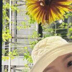 Ali Lee Instagram - 迎春接福 今天的太陽是新的 ☀️ 這些都是 能讓我持續快樂的 :) #goodvibes #ALife