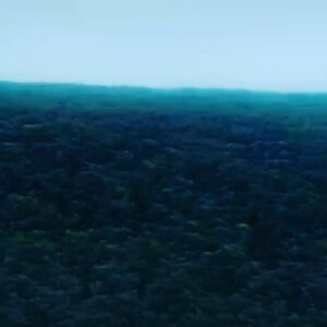 Alice Braga Instagram - O Brasil já sente o custo da seca. Está na conta de luz, do supermercado. No sufoco das indústrias e do agro. E tudo isso só vai piorar se a Amazônia for desmatada. Porque sem Amazônia, não tem água, não tem progresso. Sem Amazônia, não tem Brasil. #DiaDaAmazônia #5deSetembro