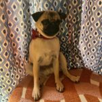 Alice Oseman Instagram - Heartstopper S3 is wrapping TODAY! 🎬 We have a few more hours of our final day to get through, but I wanted to express how deeply grateful I am to the cast and crew for their hard work, dedication, skill and endurance over the past 11 weeks, and for once again bringing a season of Heartstopper to life. Season 3 takes Heartstopper into uncharted territory and it presented a range of new challenges for our cast and crew, but everyone did the most incredible job and I am so excited to share what we’ve all been working on. Now back to our final shooting day of this season… 🌊
