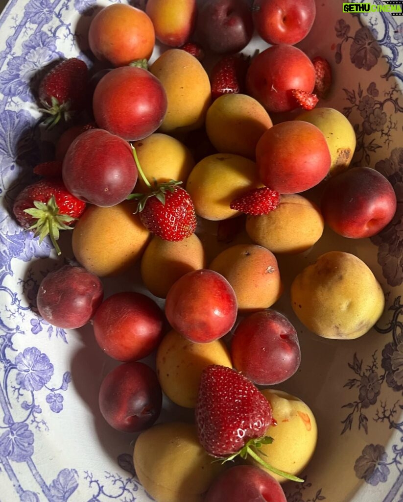 Alice Pagani Instagram - 7/7 fruits from our garden