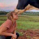 Alicia Silverstone Instagram - 🐮❤️🥹