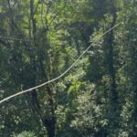 Alicia Silverstone Instagram – My zip lining partner! 👫☺️

@pacuarelodgecostarica 
@protravel.international 
@landed.travel