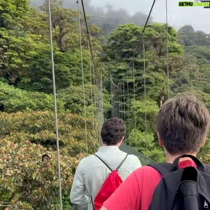 Alicia Silverstone Instagram - Our adventure started birdwatching in Curi-Cancha Reserve exploring, then we went ziplining again at the birth place of the activity, and then a walk on hanging bridges where we ran into a few monkeys playing around. They were so close! So wonderful 🐒 You can see more of this cuteness (and all the things we did!) on my story.