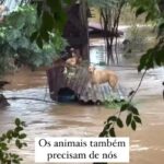 Alinne Rosa Instagram - Meus alinnistas, meu vale, hoje venho pedir ajuda para a população do Rio Grande do Sul. Mais de 80 mil pessoas estão fora de casa, e 72 pessoas morreram… a @cufabrasil está mobilizada, o @governors divulgou um pix para doações… Se você puder doar, doe. Qualquer quantia vai ajudar. Se você puder divulgar, divulgue ao próximo, para que essa corrente aumente. #riograndedosul #sos