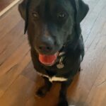 Alisha Wainwright Instagram - 11 months old this week. Moose is getting thiccc