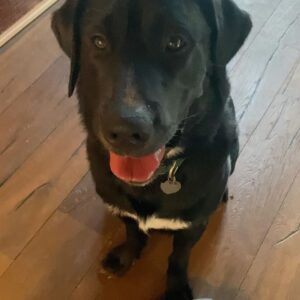 Alisha Wainwright Instagram - 11 months old this week. Moose is getting thiccc