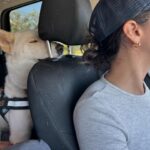 Alisha Wainwright Instagram - Dog fur and desert dust