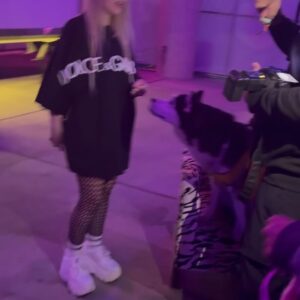 Alison Wonderland Instagram - 🔮EDC PHOTO DUMP🔮 1000 comments and I’ll upload my main stage set to YouTube