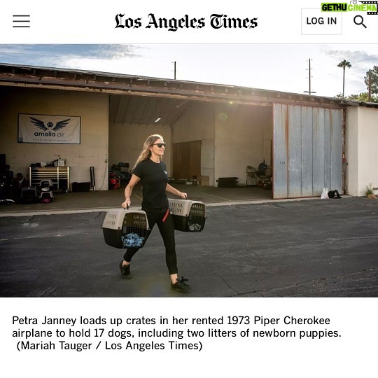 Allison Janney Instagram - My niece @petrafide and her incredible nonprofit @ameliaairrescue are featured in the @latimes today! Head to the link in my story to read this wonderful article that highlights their tireless work to fly shelter pets to new families. Want to make a difference in the lives of animals? Visit Amelia Air’s website at the link in my bio to donate, volunteer or get involved with their rescue efforts! To learn more about Amelia Air, tune into LA Times Today on Spectrum News 1 on Thursday, 8/31 at 7pm and 10pm PT!