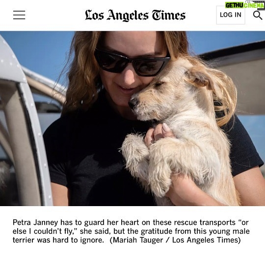 Allison Janney Instagram - My niece @petrafide and her incredible nonprofit @ameliaairrescue are featured in the @latimes today! Head to the link in my story to read this wonderful article that highlights their tireless work to fly shelter pets to new families. Want to make a difference in the lives of animals? Visit Amelia Air’s website at the link in my bio to donate, volunteer or get involved with their rescue efforts! To learn more about Amelia Air, tune into LA Times Today on Spectrum News 1 on Thursday, 8/31 at 7pm and 10pm PT!