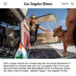 Allison Janney Instagram – My niece @petrafide and her incredible nonprofit @ameliaairrescue are featured in the @latimes today! Head to the link in my story to read this wonderful article that highlights their tireless work to fly shelter pets to new families.

Want to make a difference in the lives of animals? Visit Amelia Air’s website at the link in my bio to donate, volunteer or get involved with their rescue efforts!

To learn more about Amelia Air, tune into LA Times Today on Spectrum News 1 on Thursday, 8/31 at 7pm and 10pm PT!