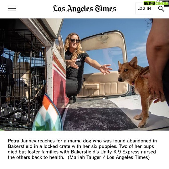 Allison Janney Instagram - My niece @petrafide and her incredible nonprofit @ameliaairrescue are featured in the @latimes today! Head to the link in my story to read this wonderful article that highlights their tireless work to fly shelter pets to new families. Want to make a difference in the lives of animals? Visit Amelia Air’s website at the link in my bio to donate, volunteer or get involved with their rescue efforts! To learn more about Amelia Air, tune into LA Times Today on Spectrum News 1 on Thursday, 8/31 at 7pm and 10pm PT!
