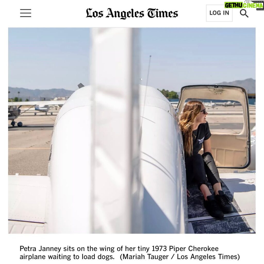 Allison Janney Instagram - My niece @petrafide and her incredible nonprofit @ameliaairrescue are featured in the @latimes today! Head to the link in my story to read this wonderful article that highlights their tireless work to fly shelter pets to new families. Want to make a difference in the lives of animals? Visit Amelia Air’s website at the link in my bio to donate, volunteer or get involved with their rescue efforts! To learn more about Amelia Air, tune into LA Times Today on Spectrum News 1 on Thursday, 8/31 at 7pm and 10pm PT!