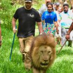 Aly Goni Instagram – Casela u have my heart 🥺❤️ 🐅🦁 🦜 🦓 🦒🦚

@caselamauritius 
@europamedia.ent 
@mauritius_india 

#leisurepark #caselamauritius
#MauritiusNow
#FeelOurIslandEnergy
#mauritiustourism