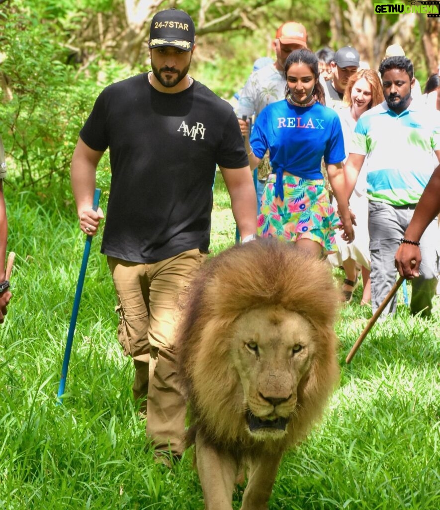 Aly Goni Instagram - Casela u have my heart 🥺❤️ 🐅🦁 🦜 🦓 🦒🦚 @caselamauritius @europamedia.ent @mauritius_india #leisurepark #caselamauritius #MauritiusNow #FeelOurIslandEnergy #mauritiustourism