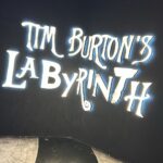 Amélie Neten Instagram - « J’ai passé une journée incroyable avec mon fils à l’exposition de Tim Burton à Bruxelles. C’était tout simplement canon! Mon fils a été complètement captivé par l’univers unique et fascinant de Burton. Il a vraiment kiffé chaque moment, ce qui a rendu l’expérience encore plus mémorable pour moi. Je recommande vivement cette exposition à tous les fans de Burton et à ceux qui aiment l’art qui sort de l’ordinaire. Une expérience inoubliable! 🥰