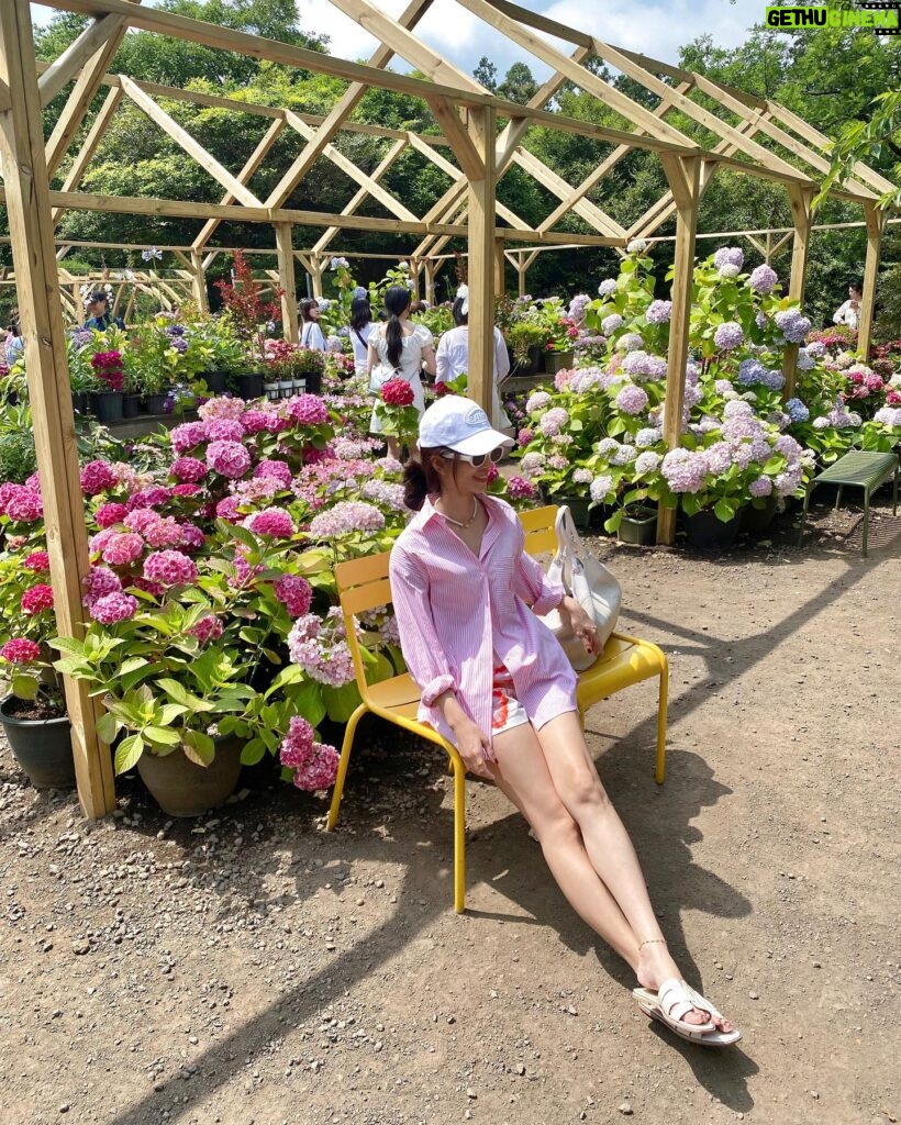 Amanda Chou Instagram - / 剛好遇到了繡球花季 逛逛美麗的花園 對於愛花之人感到特別興奮呀🌼 OOTD @majeparis #MajeParis #MajeGirls #MajeSS24