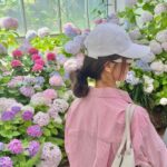 Amanda Chou Instagram – /
剛好遇到了繡球花季
逛逛美麗的花園
對於愛花之人感到特別興奮呀🌼

OOTD @majeparis #MajeParis 

#MajeGirls #MajeSS24