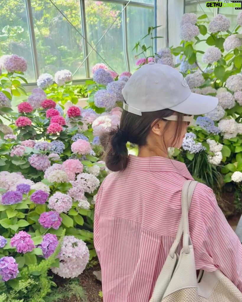 Amanda Chou Instagram - / 剛好遇到了繡球花季 逛逛美麗的花園 對於愛花之人感到特別興奮呀🌼 OOTD @majeparis #MajeParis #MajeGirls #MajeSS24