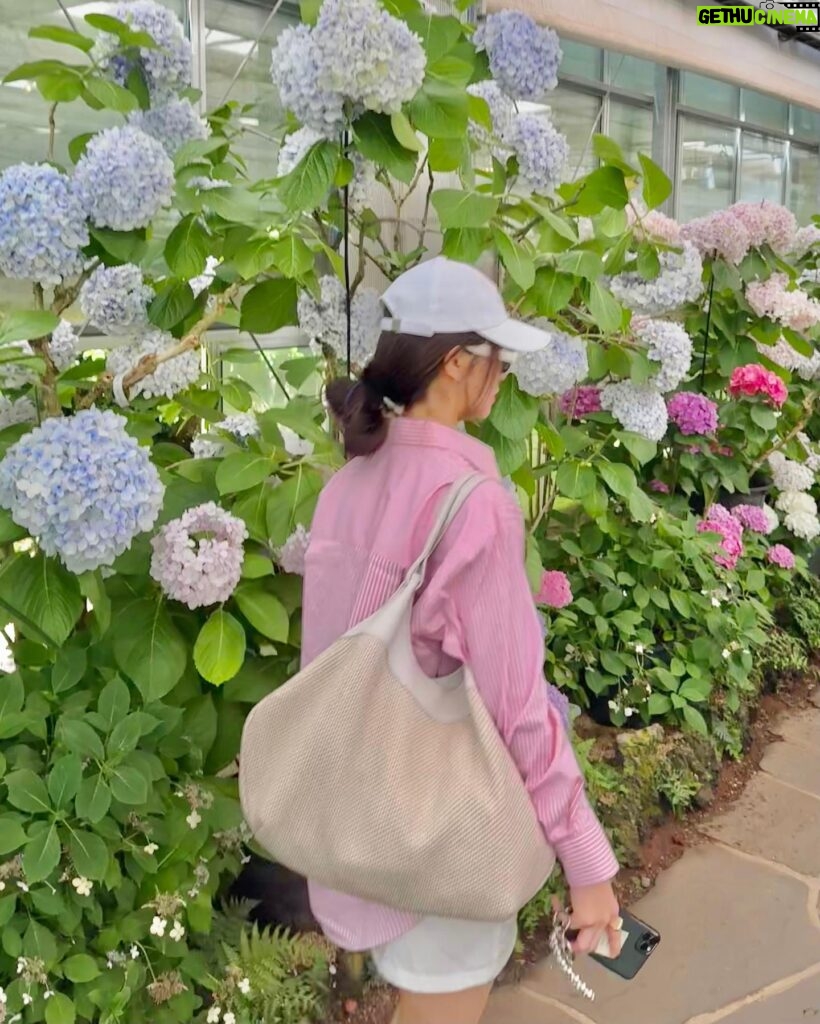 Amanda Chou Instagram - / 剛好遇到了繡球花季 逛逛美麗的花園 對於愛花之人感到特別興奮呀🌼 OOTD @majeparis #MajeParis #MajeGirls #MajeSS24