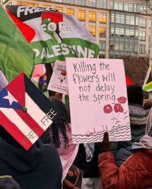 Amandla Stenberg Instagram - Washington, D.C. now
KILLING THE FLOWERS WILL NOT DELAY THE SPRING
TINY HEARTS SHOULD BEAT WITH HOPE NOT DIE IN DARKNESS
CAN WE AGREE GENOCIDE IS NOT OKAY?
CEASEFIRE NOW