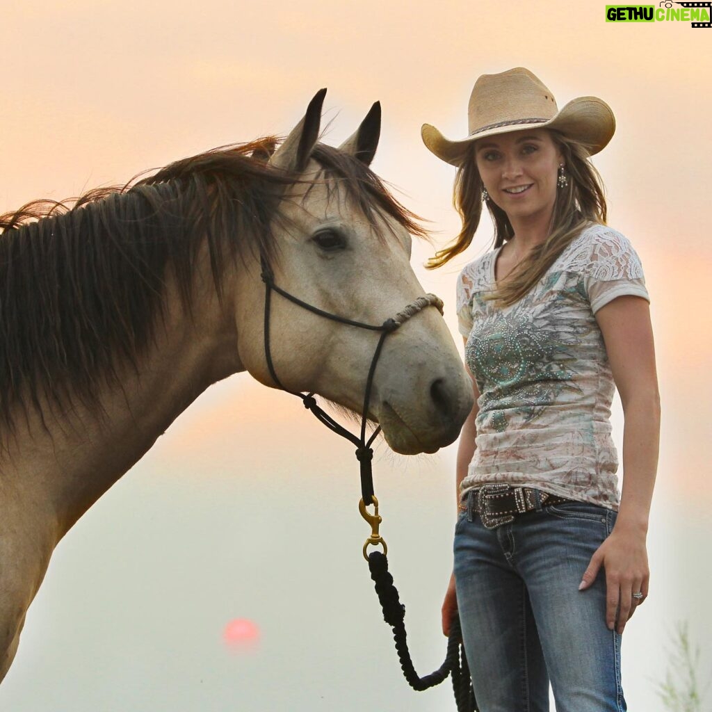 Amber Marshall Instagram - 🐴 Since my latest newsletter focussed on Cash the Quarter Horse and his mama Shay, I thought it was only fitting to add this special horse to my #MarshallSundayStory this week. Let’s go back to April 18, 2009 when a sweet little buckskin was born. I met him shortly after when his mom came to board at my home. Falling right in love I very quickly asked if this little colt was for sale. At the end of that summer when the boarded horses went home, Cash got to stay. This handsome guy and I had many adventures together over the next several years. He has always been an extra cuddly horse and excels with human attention. Most of the horses I’ve had are independent and flourish in the herd, even if I don’t have the time to spend with them regularly. Cash was different, he needed a human. My schedule filming Heartland is quite demanding, and I would find myself driving in late at night seeing Cash standing with his head hung over the fence, apart from the herd, watching me head to the house. I would try to go out to give him a cuddle as often as I could, but I knew he deserved someone who could devote more time to him. It was during one of these late night drives home from work that my friend Shay reached out, needing a listening ear. Her horse Montana was going in for surgery and wouldn’t be rideable for quite some time. She was pretty upset by the news. I’m a believer that things happen for a reason and situations present themselves at the right time. I knew in my gut this was the right place for Cash. At the time Shay lived in Ontario, so after she excitedly agreed, I loaded Cash up, and he made the journey east. These two bonded over the next many years, and had some great adventures themselves, but the most memorable of all, was when they packed up and both travelled west to answer a calling in Shays heart. Now I get to see the two of them regularly and continue our adventures together. You can hear more of their story on my newest addition of Rambling Rides on my YouTube channel. 🐴 📸 To see more Cash photos on Instagram click #AmberHorseCash And be sure to check out Shay’s account: @CashTheQuarterHorse