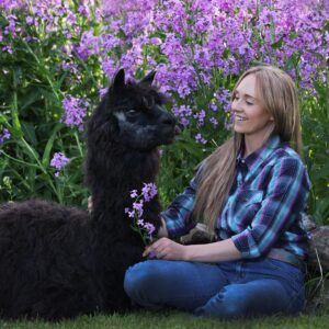 Amber Marshall Instagram - Many of you have been asking how my old alpaca Betty is doing. I knew she was on her last legs this past year and is it with a heavy heart I report she has finally made her way across the rainbow bridge. 

Betty was with us many years, and took great care of all the calves each spring. She would lay with them in the pasture, often seen grooming them, and keeping all safe from predators. 

I remember back to one harsh snowstorm when I went out in our big field searching for a younger calf that was missing. I found Betty laying out in the far corner of the 100 acre pasture, and underneath her hid the newborn calf, just his nose poking out from her snow covered body. She really was one of a kind and her presence will be greatly missed on the farm. 

#BettyTheAlpaca ❤️