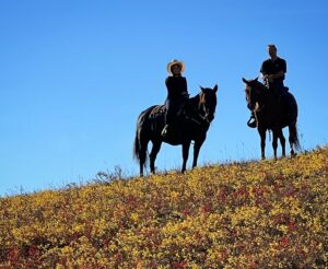 Amber Marshall Instagram - I’m thankful for so many things. 🍁 

This past weekend was Thanksgiving for us in Canada and I was very happy to have my dad and step-mom join us. I don’t get to see them very often, but when I do, we always make the most of it. 

I’m thankful for the time I have with those I hold close to my heart, and for beautiful autumn rides in the place I call home. I’m thankful for a good meal, a place to hang my hat and an incredible man to share that space with, and maybe a chai lattes in front of a warm fire with dogs asleep at our feet. 

My heart is with anyone who is affected by war and the horrific acts around the world. Keep those who mean the most to you close, and love them with all your heart. In a world where there is so much fear, misunderstanding and hate, choose kindness. ❤️