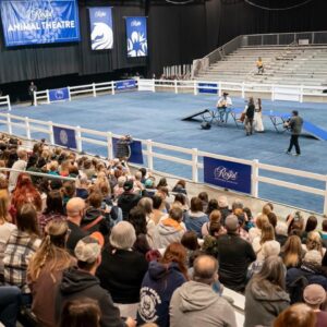 Amber Marshall Instagram - We had such a great time in Toronto this past weekend at @theRoyalFair ! 

Thank you to everyone who was a part of it. It always feels good to be back in the province that raised me. 

It has been a busy few weeks, but I’m headed back home to Alberta today, and looking forward to some R&R on the ranch with Shawn and our critters. 😊

📸‘s by: John Steadman and Ben Radvanyi
