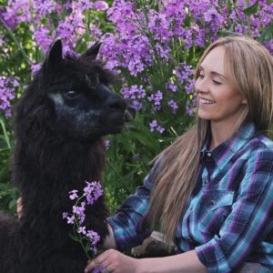 Amber Marshall Instagram - #MarshallSundayStory: Last week I told you the story of how my cat Turner came to live with me. This week, (after many requests) we will learn more about #BettyTheAlpaca who lived with us for a decade before she crossed the rainbow bridge. 

It was the summer of 2013 and I was at a ranch with my friend @KatieConnolley looking at some horses that were for sale. There was a lone alpaca there, so asked what her story was. The owner said he didn’t know how old she was, or much about her, as she had been left behind from a previous herd. He then said, “If you want her she’s yours.” 

I had no experience with llamas or alpacas but something about her just made me want to bring her home. She was not tame, and we had to wrangle her into a small pen, then rope and tackle her. I put an old t-shirt over her face to keep her calm, then we lifted her into the backseat of my truck - we hadn’t brought a trailer, so I sat holding her while my friend Katie drove us home (see last photo that was taken when we arrived home). 

I decided to turn her out with my cows so she wasn’t alone, and instantly she loped over to the young calves and started grooming them. She became Nanny Betty from then on. She took her job so seriously she would never let the calves out of her sight. My moma cows began trusting Betty, and would leave their calves with her for hours while they went out further to graze. 
Over the years Betty really warmed up to me. She even learned how to be haltered and walk nicely while being led. I miss Betty, as do my cows, and I’m not sure I will ever find another alpaca like her. ❤️

🦙 Story too long for this post, I have continued in the comments. 

See more of Betty on Instagram here: #BettyTheAlpaca