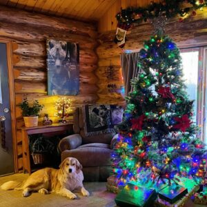 Amber Marshall Instagram - The snow is fluffy on the ground outside, fireplace is toasty and the cabin is cozy, and from our family to yours we wish you a very Merry Christmas! 🎄