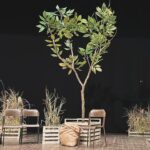 Ambra Angiolini Instagram - Quando fai e non parli, quando ti scoppia il cuore anche all’idea di avere la superpaura , quando ami oltre il tuo biologico … non ti preoccupi di quello che significhi tu per il teatro, pensi a quanto lui sia importante per te. Grazie prima ancora di iniziare a tremare, in ogni senso possibile. OLIVA DENARO… ci siamo quasi @violardone #giorgiogallione @agidi_srl @goldenart.production @notorialab @gra69 @jolandarenga ph by @iamtitticupido @devisofficial @teatrogiudittapasta #💚