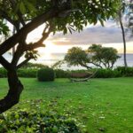 Amiyah Scott Instagram - My view