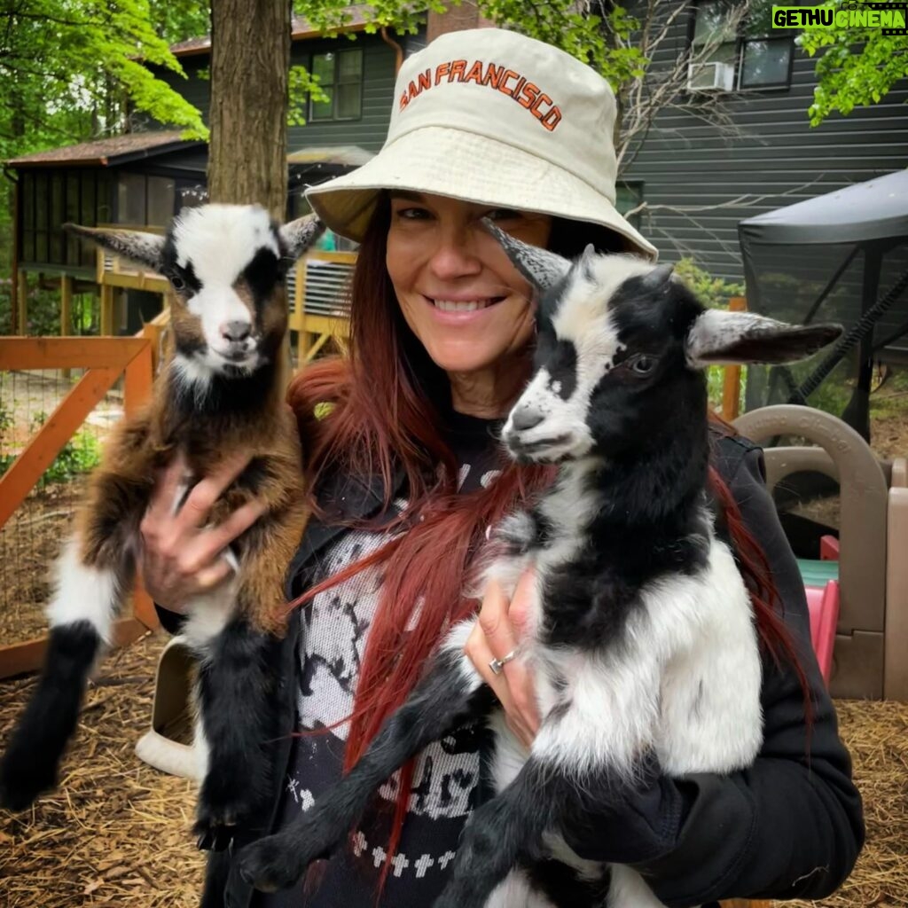 Amy Dumas Instagram - Thanks for 1M! Y’all the GOATs! 🐐🐐